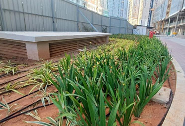 Utopia Paradise : Landscaping and hardscape works in progress - Status as of January 2025