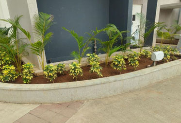 Utopia Paradise : Landscaping works in progress - Status as of November 2024